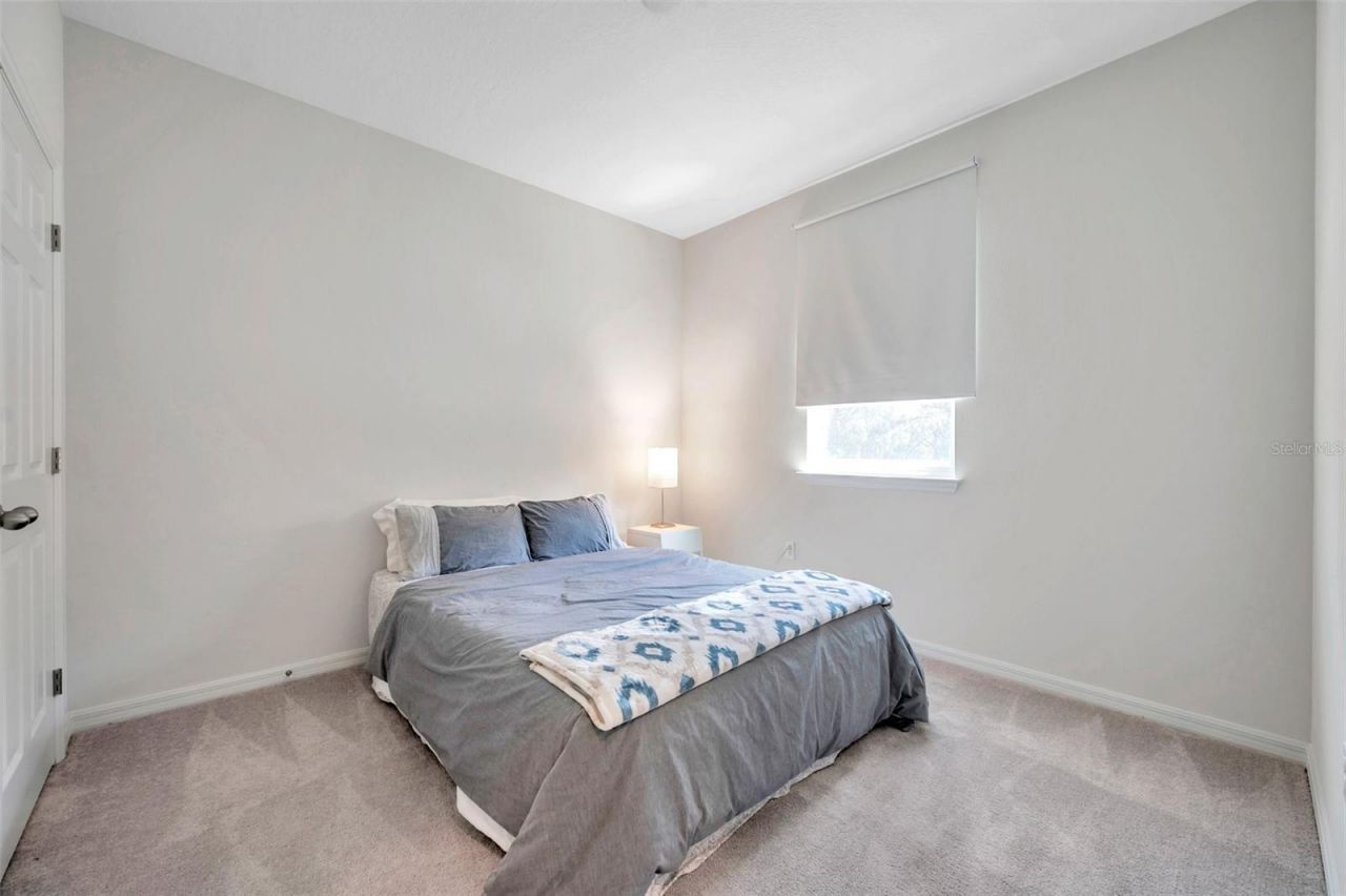 4966 Avalon Park Boulevard, Wesley Chapel, FL 33545 Photo