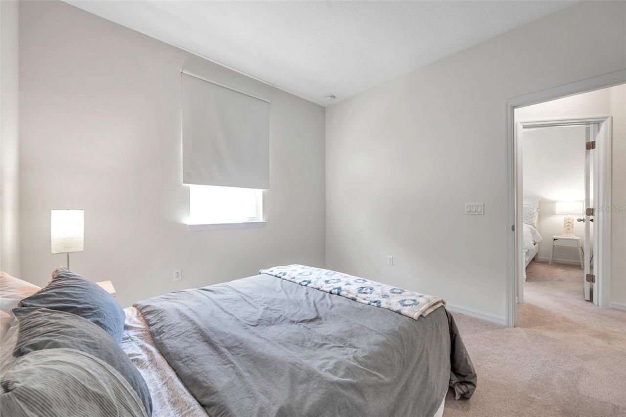 4966 Avalon Park Boulevard, Wesley Chapel, FL 33545 Photo