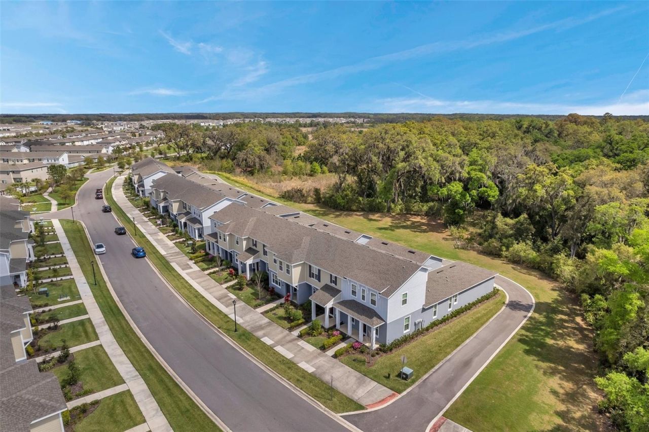 4966 Avalon Park Boulevard, Wesley Chapel, FL 33545 Photo