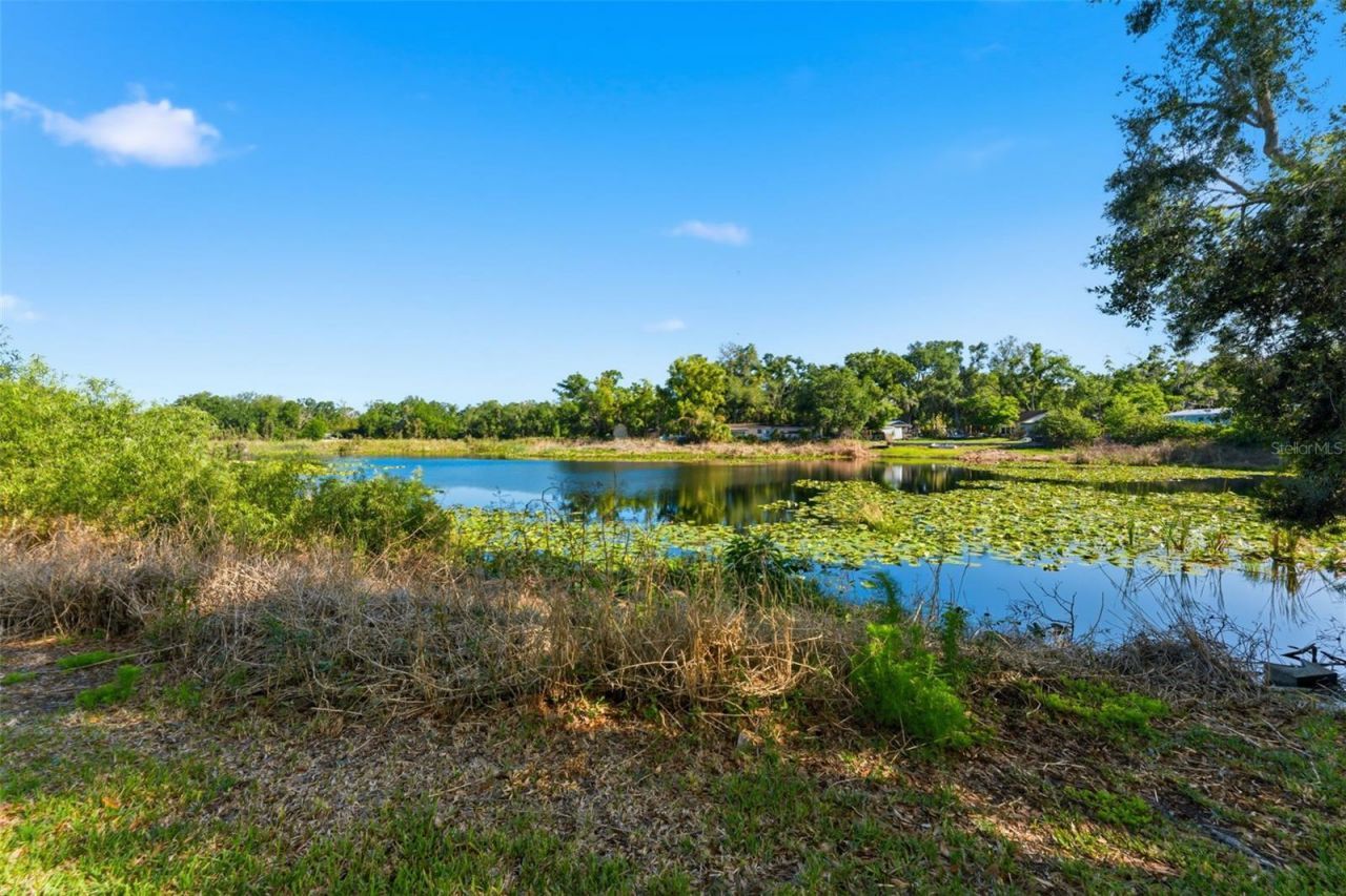 910 Linwood Terrace , Lutz, FL 33549 Photo