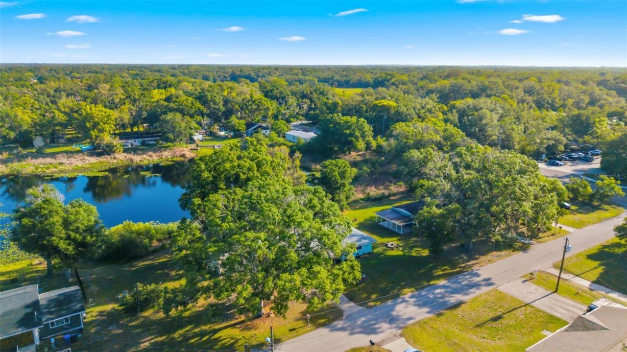 910 Linwood Terrace , Lutz, FL 33549 Photo