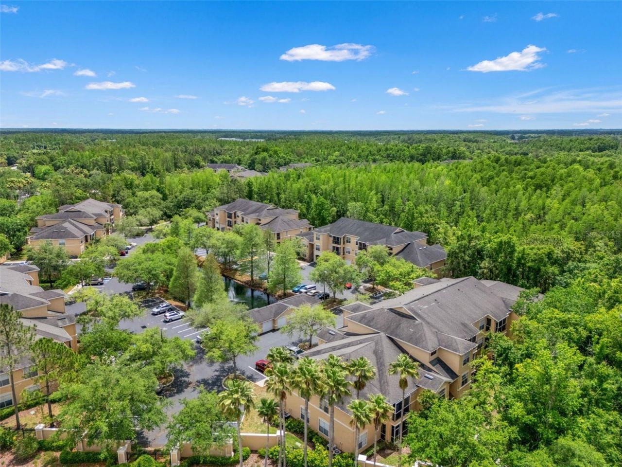 5125 Palm Springs Boulevard, Unit 13104, Tampa, FL 33647 Photo