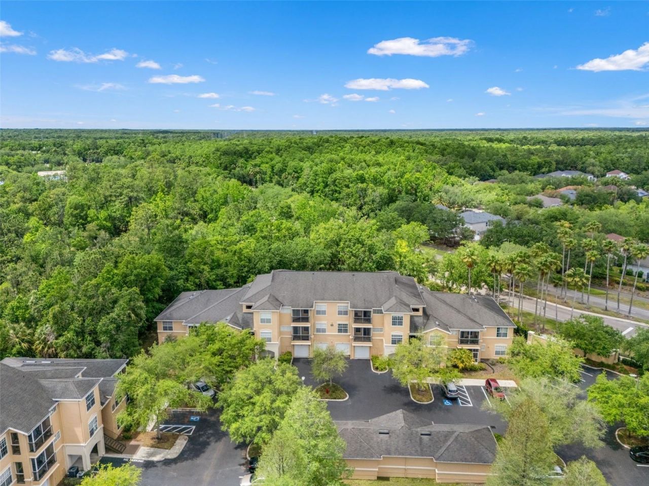 5125 Palm Springs Boulevard, Unit 13104, Tampa, FL 33647 Photo