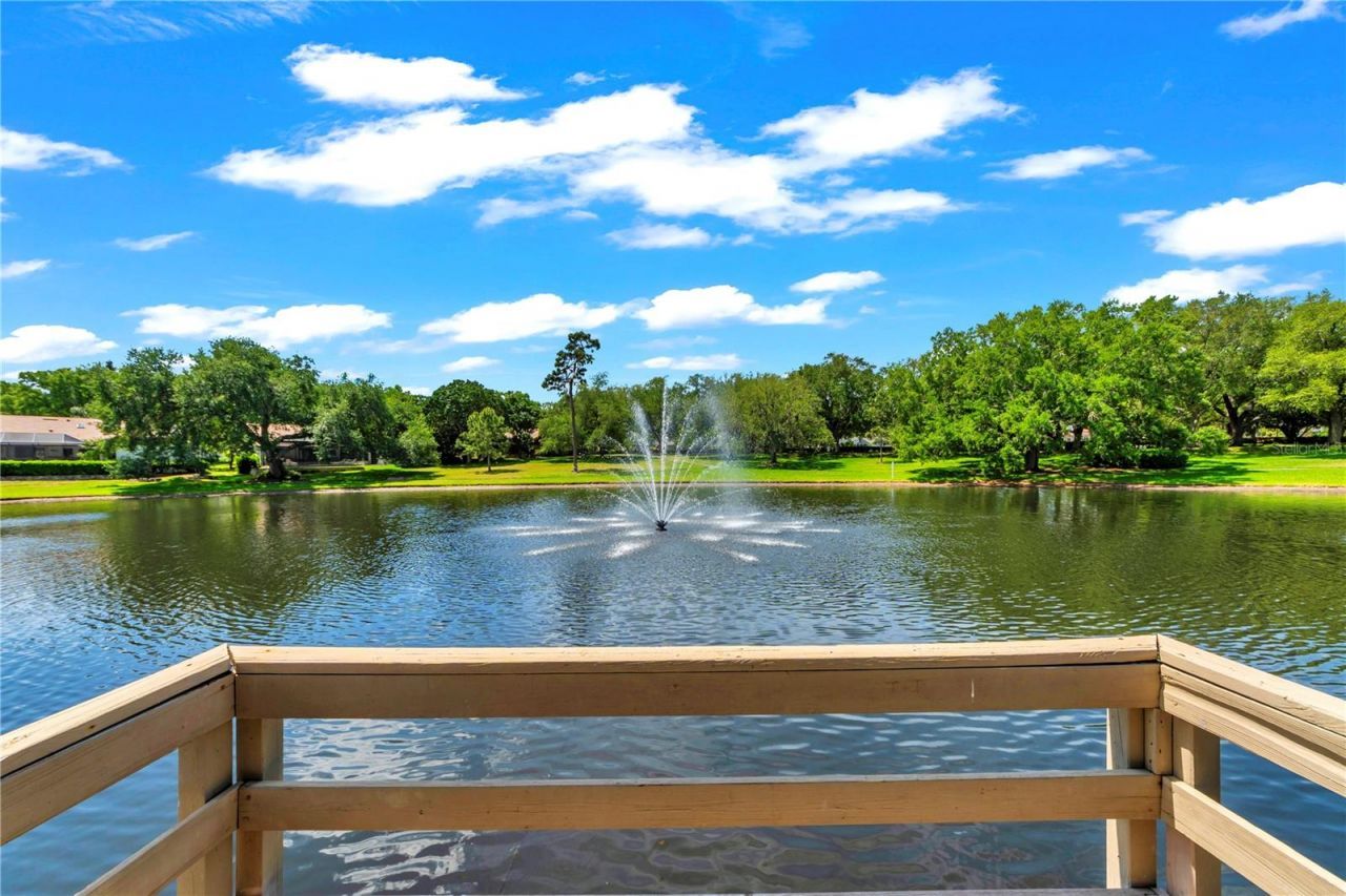 3262 Westcott Court, Palm Harbor, FL 34684 Photo