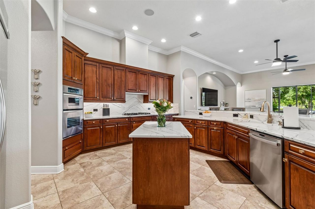 21227 Sky Vista Drive, Land O Lakes, FL 34637 Photo