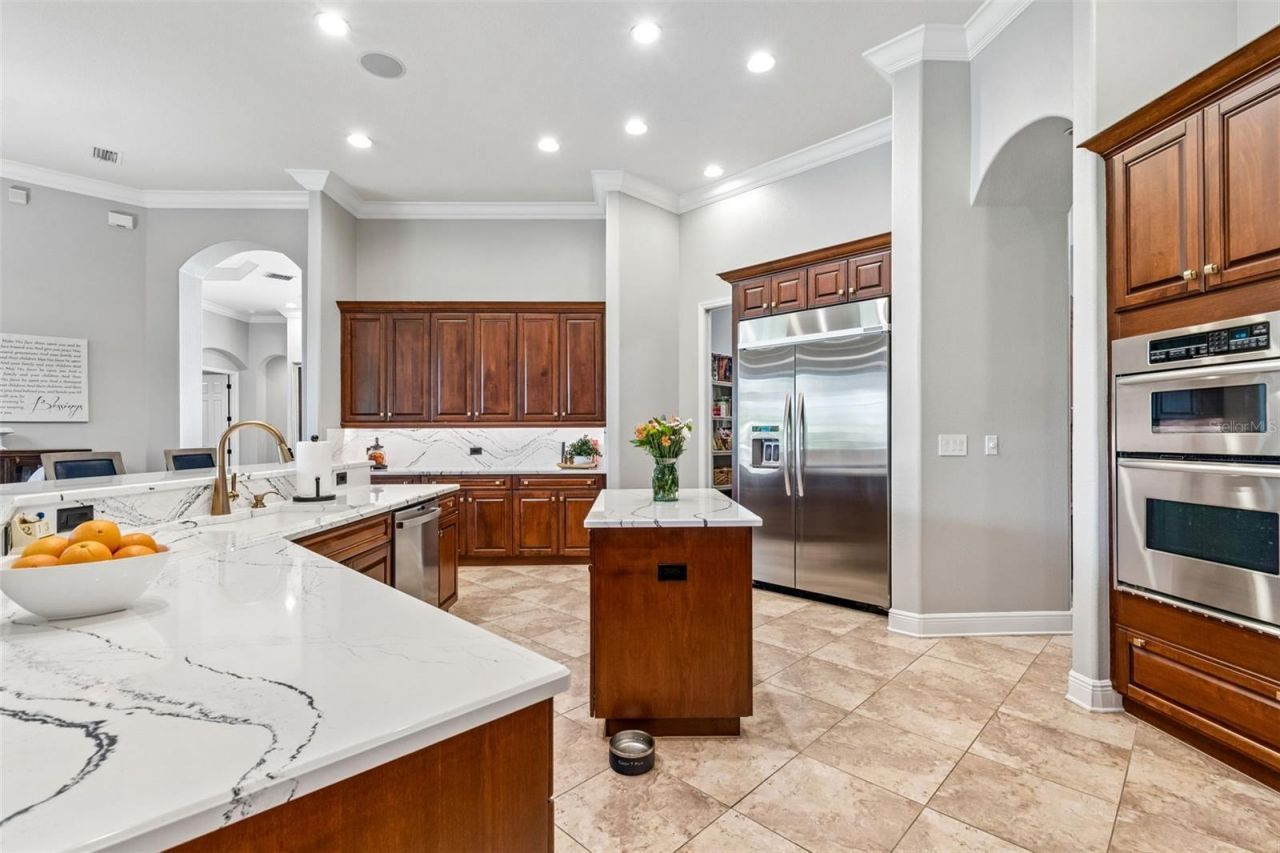 21227 Sky Vista Drive, Land O Lakes, FL 34637 Photo