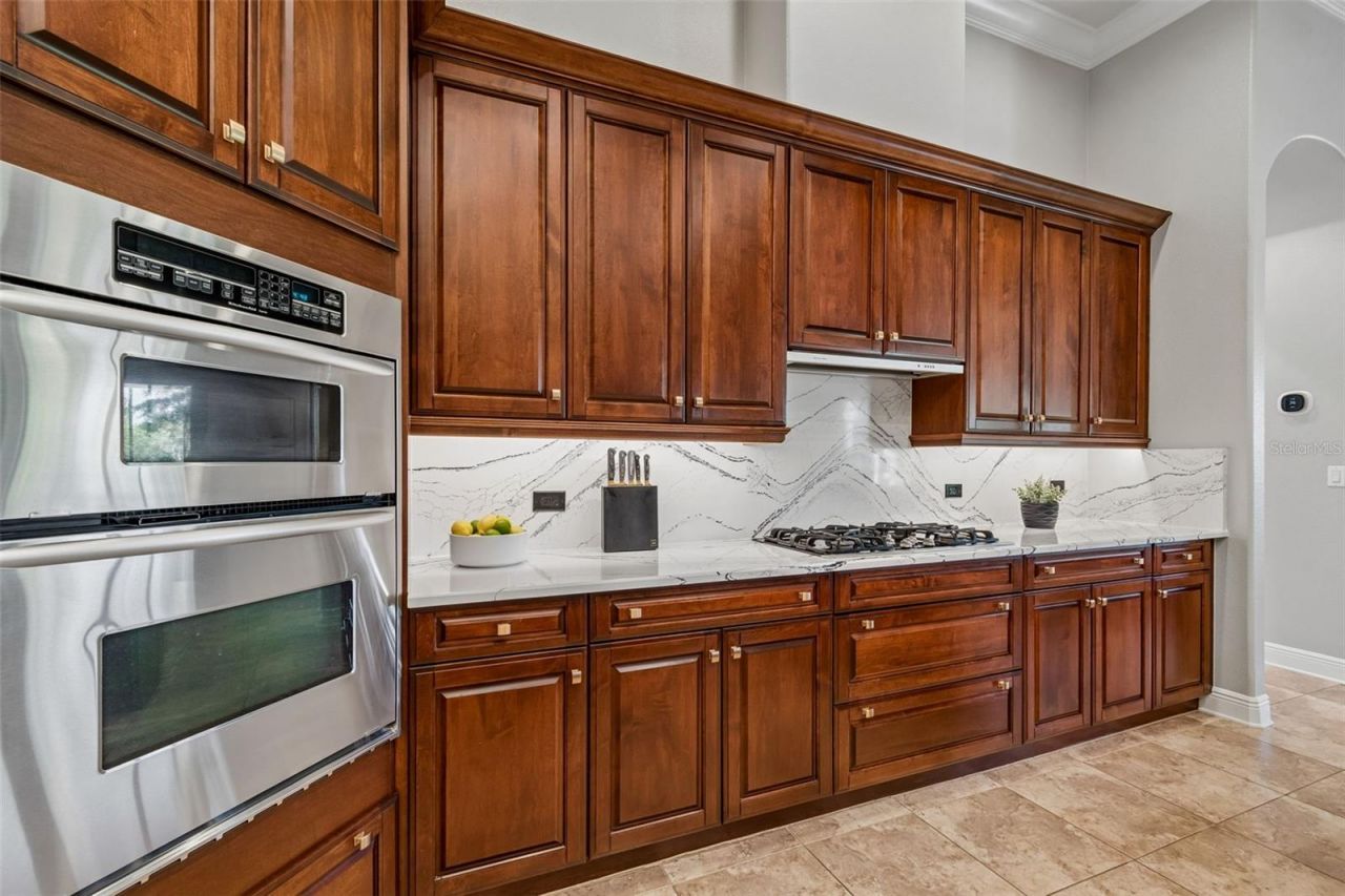 21227 Sky Vista Drive, Land O Lakes, FL 34637 Photo