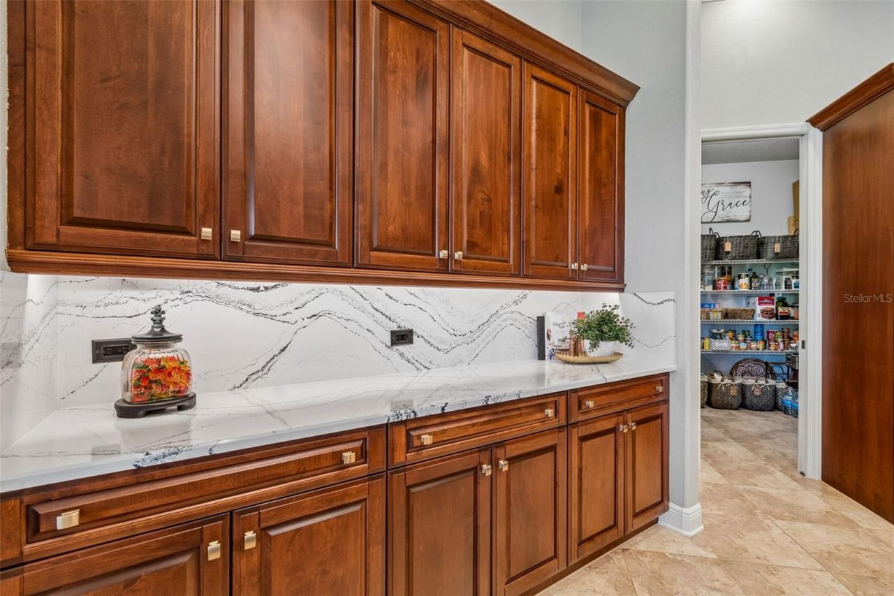 21227 Sky Vista Drive, Land O Lakes, FL 34637 Photo