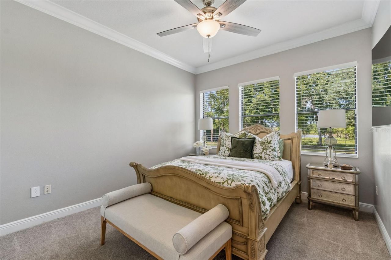 21227 Sky Vista Drive, Land O Lakes, FL 34637 Photo