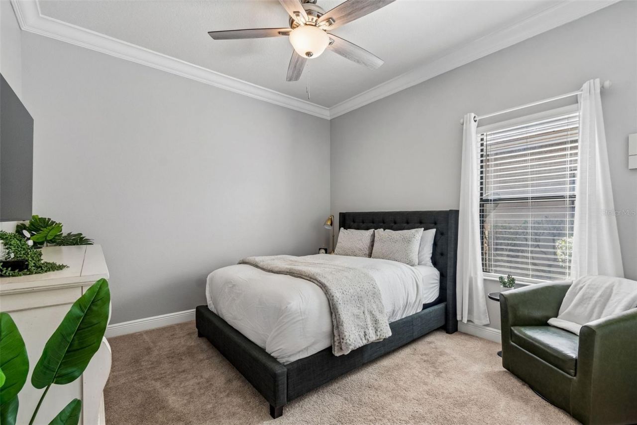 21227 Sky Vista Drive, Land O Lakes, FL 34637 Photo