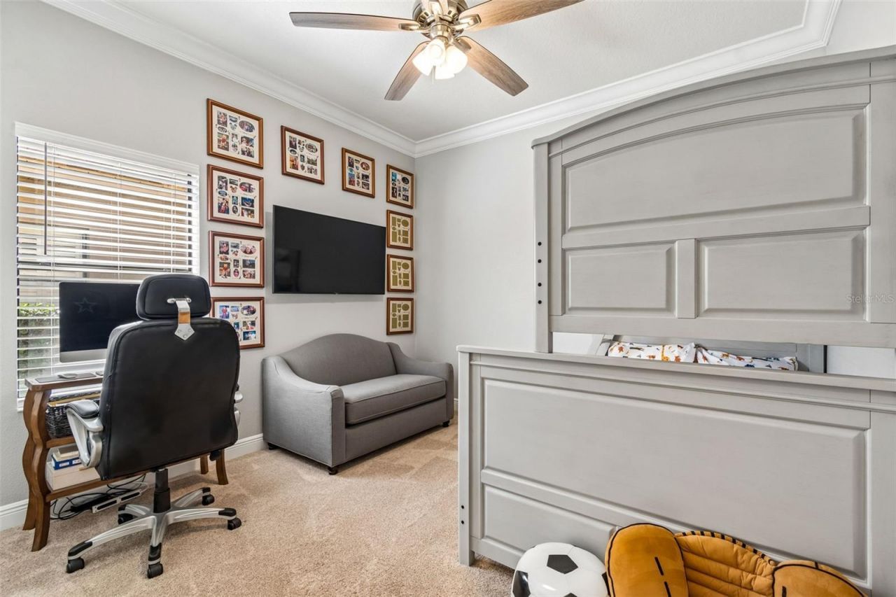 21227 Sky Vista Drive, Land O Lakes, FL 34637 Photo