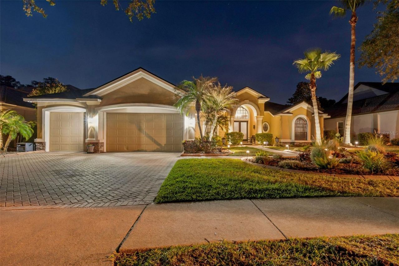 21227 Sky Vista Drive, Land O Lakes, FL 34637 Photo
