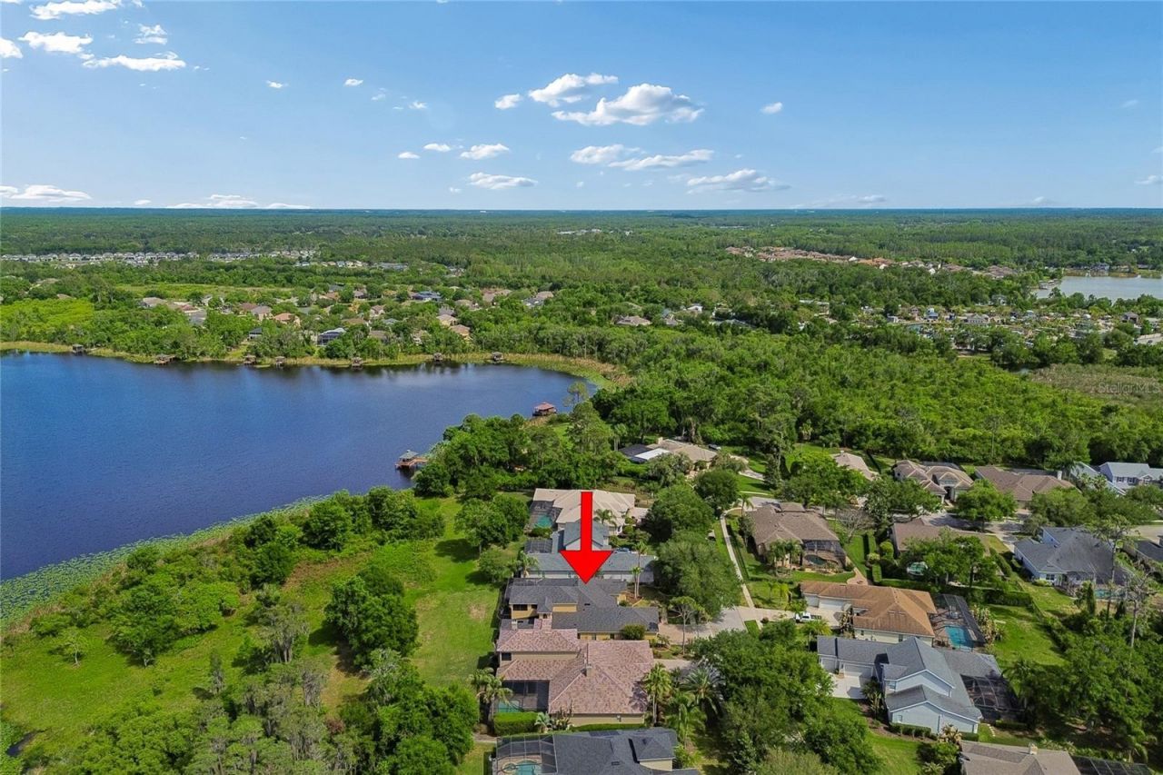 21227 Sky Vista Drive, Land O Lakes, FL 34637 Photo
