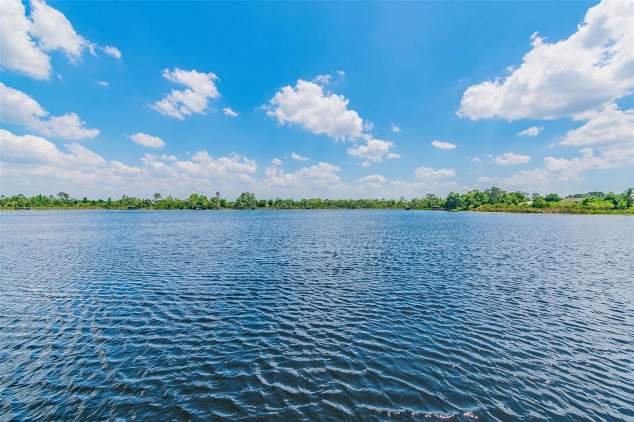 21227 Sky Vista Drive, Land O Lakes, FL 34637 Photo