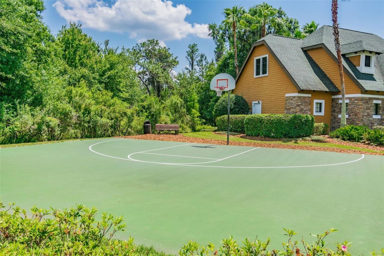 21227 Sky Vista Drive, Land O Lakes, FL 34637 Photo