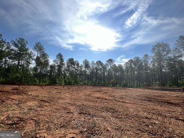 0 Weaver Jones Road, Rutledge, GA 30663