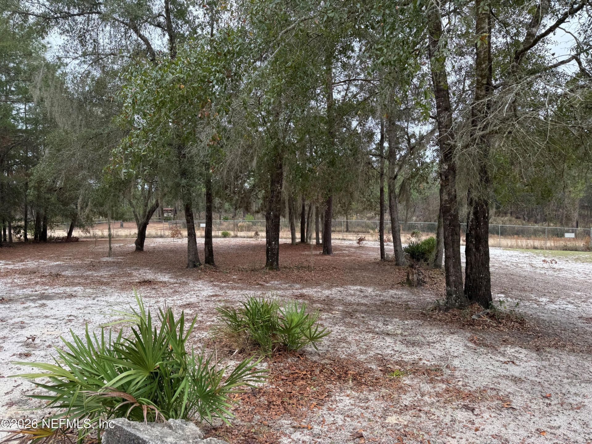 1134 Coral Farms Road, Florahome, FL 32140 Photo