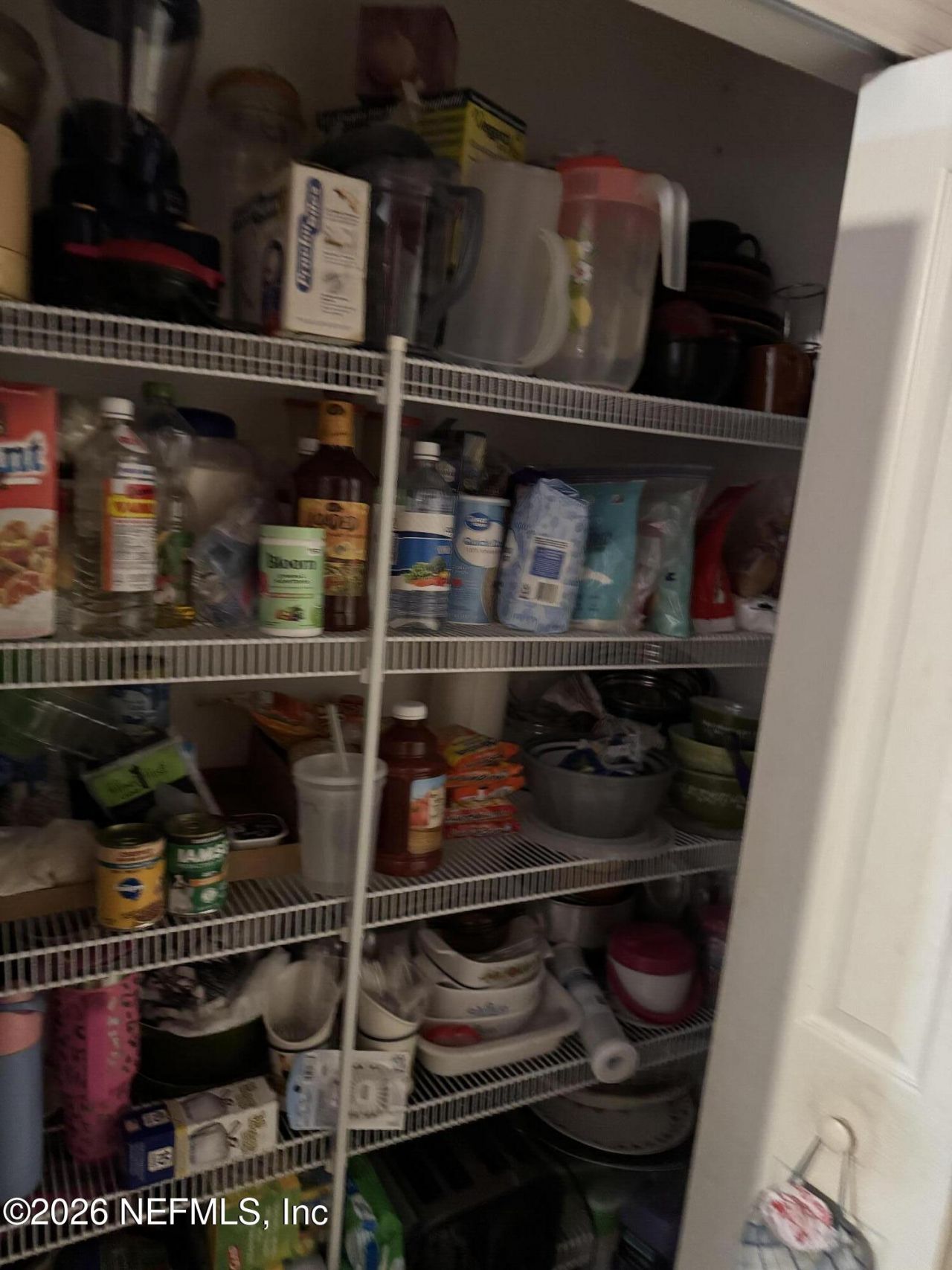 1134 Coral Farms Road, Florahome, FL 32140 Photo