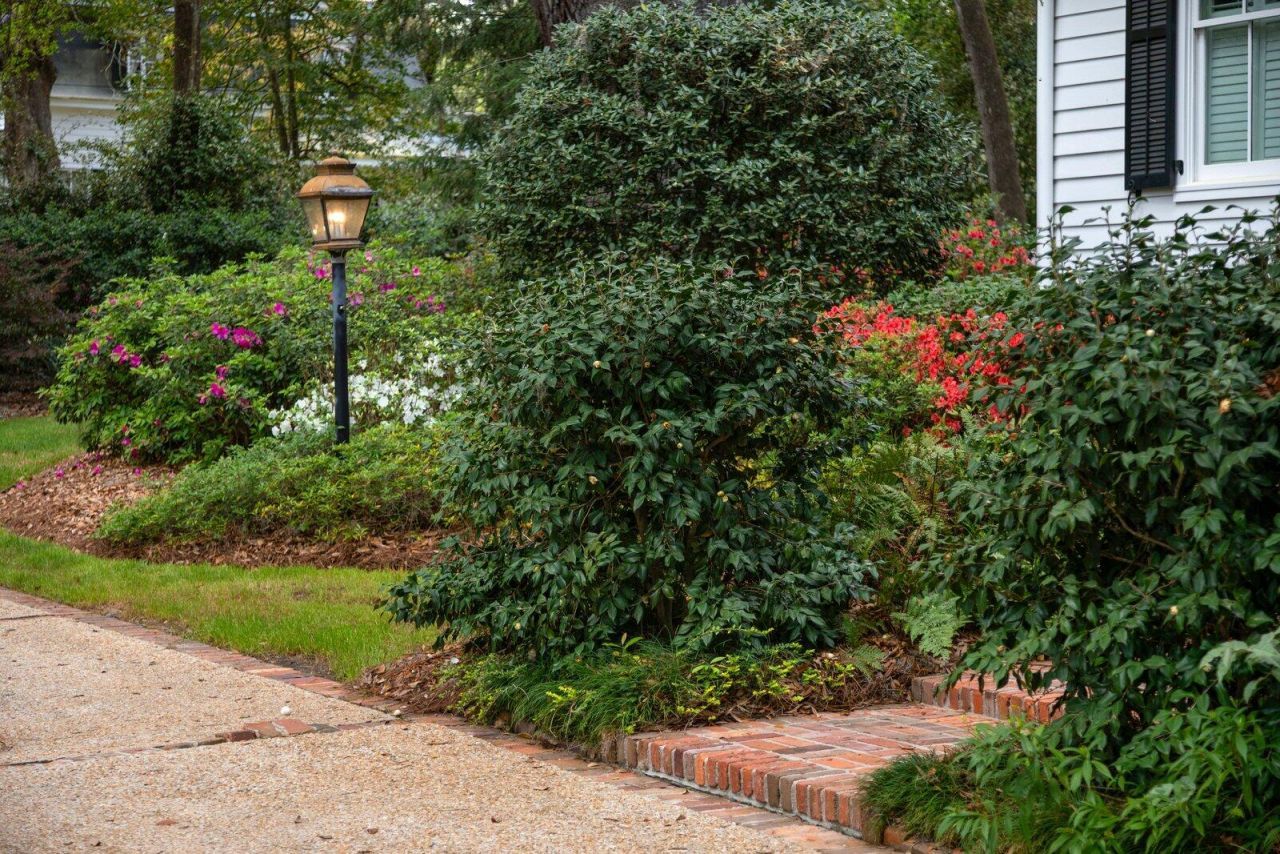 500 Central Avenue Photo 85