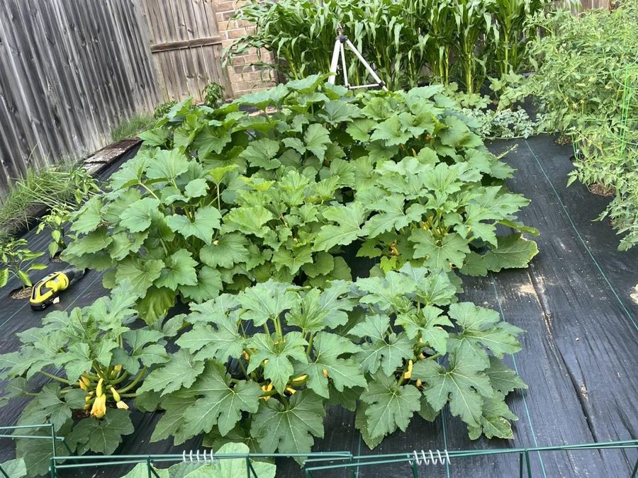 Property Image 36