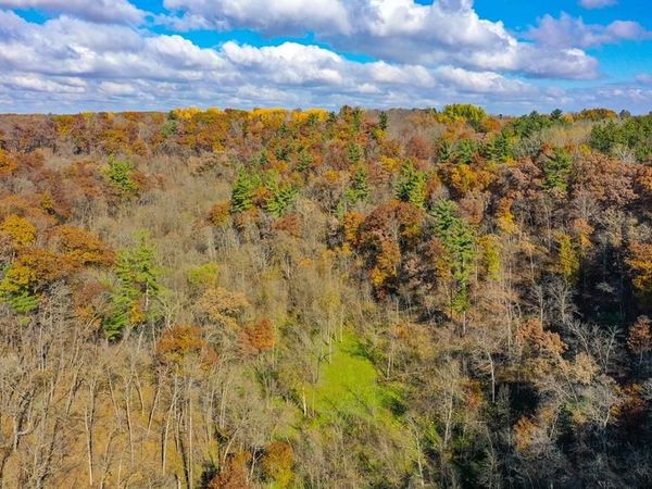 0 265th Avenue, Plum City, WI 54761