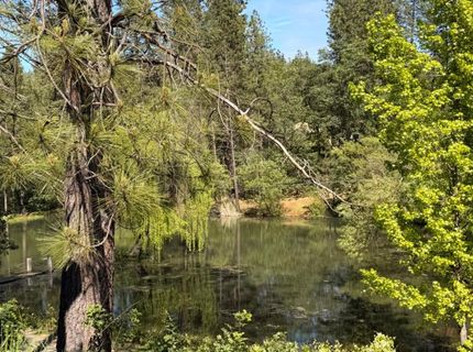 699 Tu Yu Mum Ln, Colfax, CA 95713 Photo