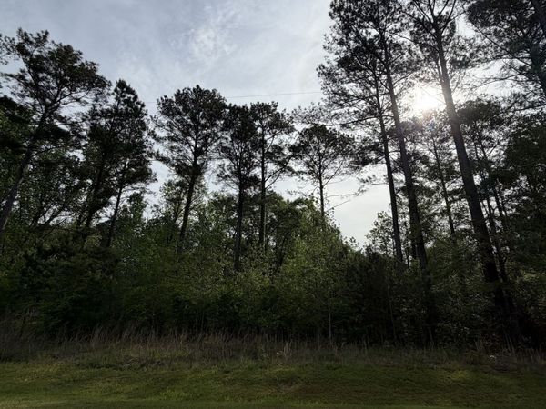 0 Brower Court, Dublin, GA 31021