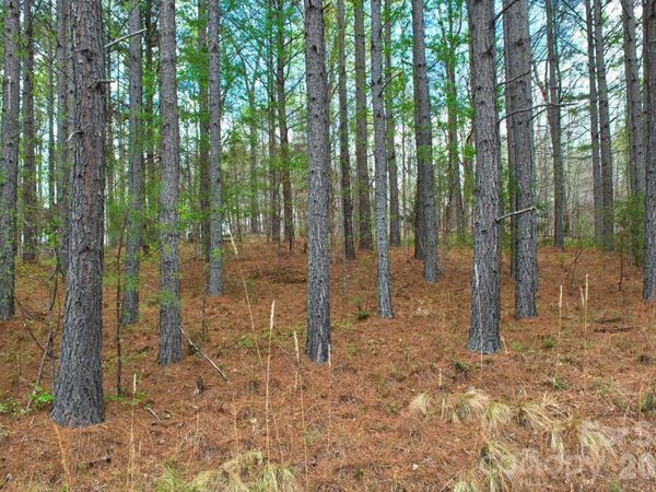 0 Clearwater Parkway , Rutherfordton, NC 28139