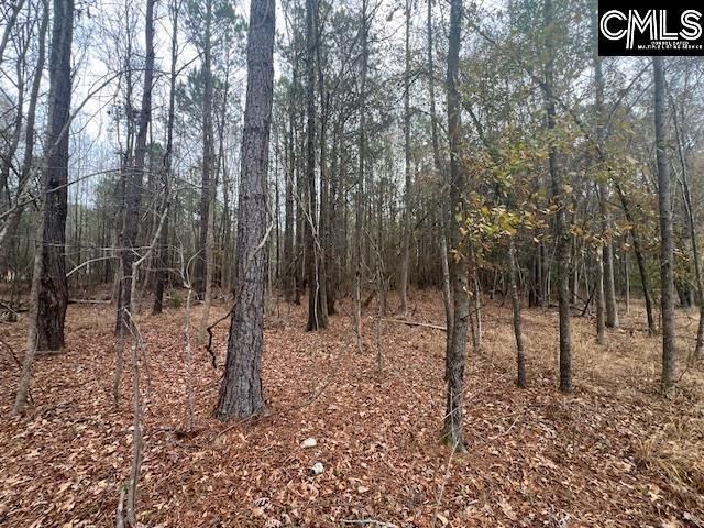 1128 Tookie Doo Avenue Photo 10