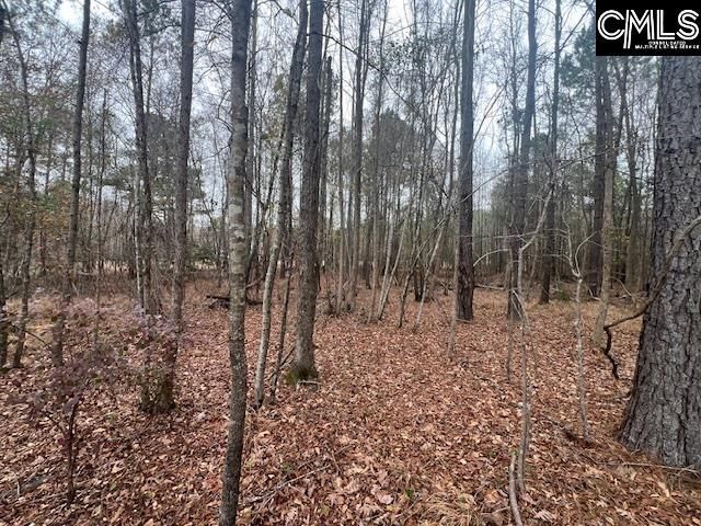 1128 Tookie Doo Avenue Photo 11