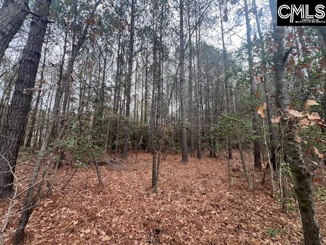 1128 Tookie Doo Avenue Photo 12