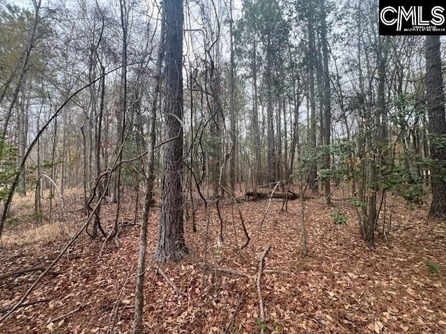 1128 Tookie Doo Avenue Photo 13