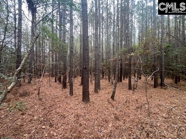 1128 Tookie Doo Avenue Photo 14