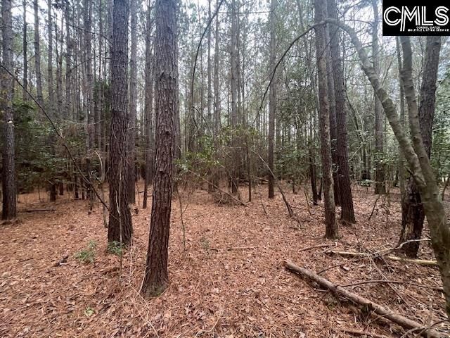 1128 Tookie Doo Avenue Photo 15