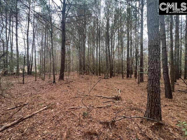 1128 Tookie Doo Avenue Photo 16