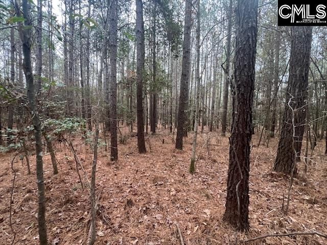 1128 Tookie Doo Avenue Photo 17