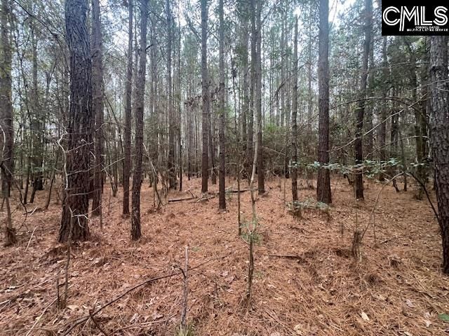 1128 Tookie Doo Avenue Photo 18