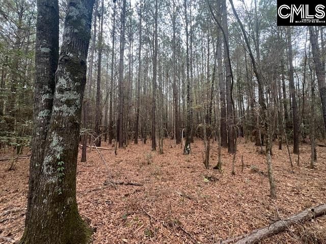 1128 Tookie Doo Avenue Photo 19