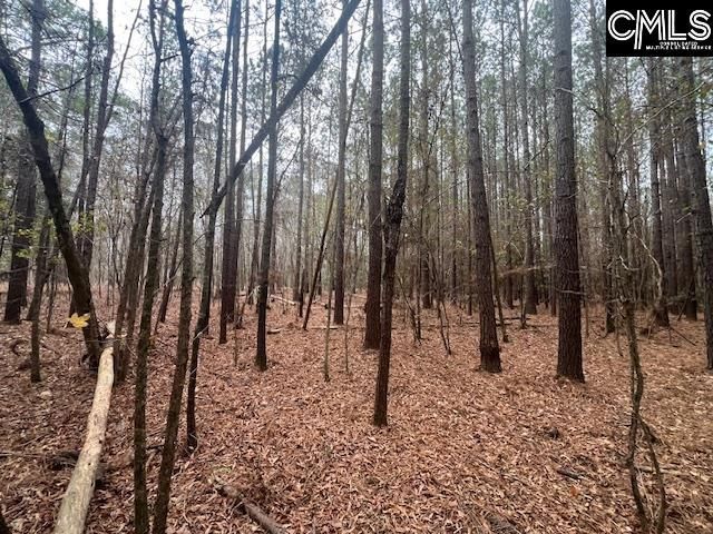 1128 Tookie Doo Avenue Photo 20