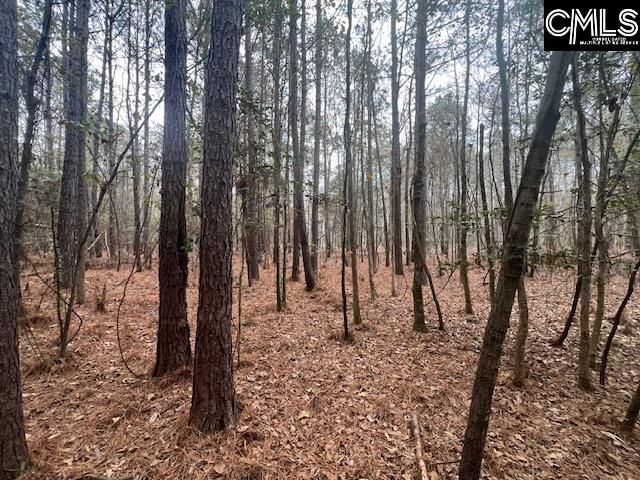 1128 Tookie Doo Avenue Photo 21