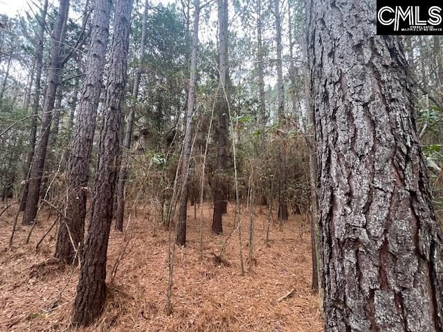 1128 Tookie Doo Avenue Photo 23