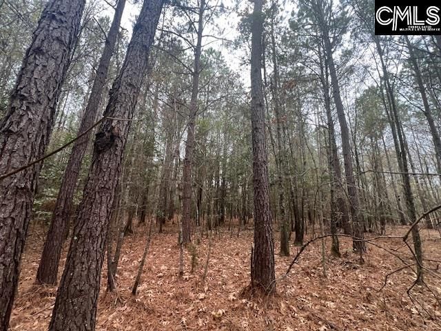 1128 Tookie Doo Avenue Photo 24