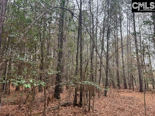 1128 Tookie Doo Avenue Photo 25