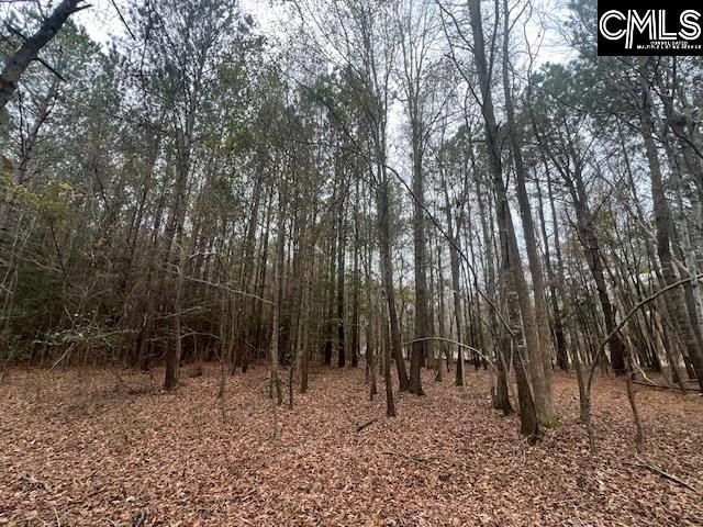 1128 Tookie Doo Avenue Photo 26