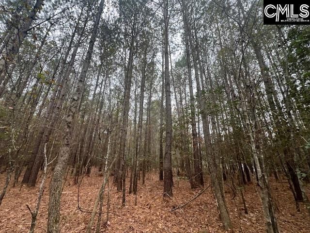 1128 Tookie Doo Avenue Photo 27