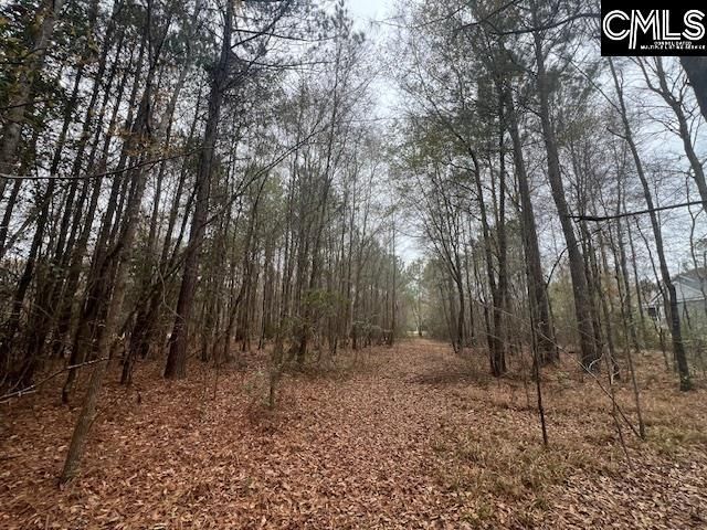 1128 Tookie Doo Avenue Photo 28