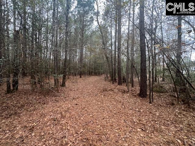 1128 Tookie Doo Avenue Photo 4