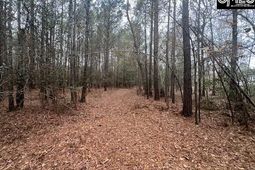 1128 Tookie Doo Avenue photo 4