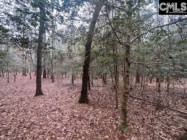 1128 Tookie Doo Avenue Photo 5