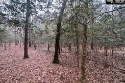 1128 Tookie Doo Avenue photo 4